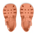 Cangrejeras Respetuosas Hippos