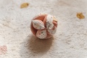 Pelota Montessori Fairy Garden