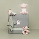 Caja regalo pequeña granja Little Dutch