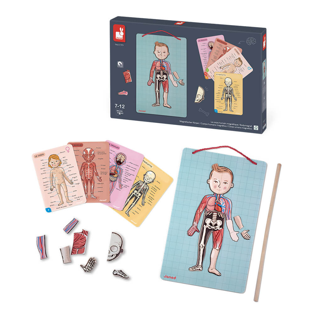 Bodymagnet en 12 idiomas