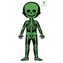 Puzle educativo Cuerpo humano